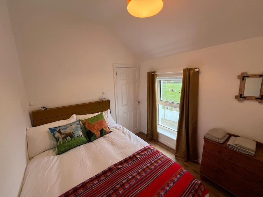 The Alpaca Farmhouse With Hot Tub And Alpaca Experience Included Dromara Bagian luar foto