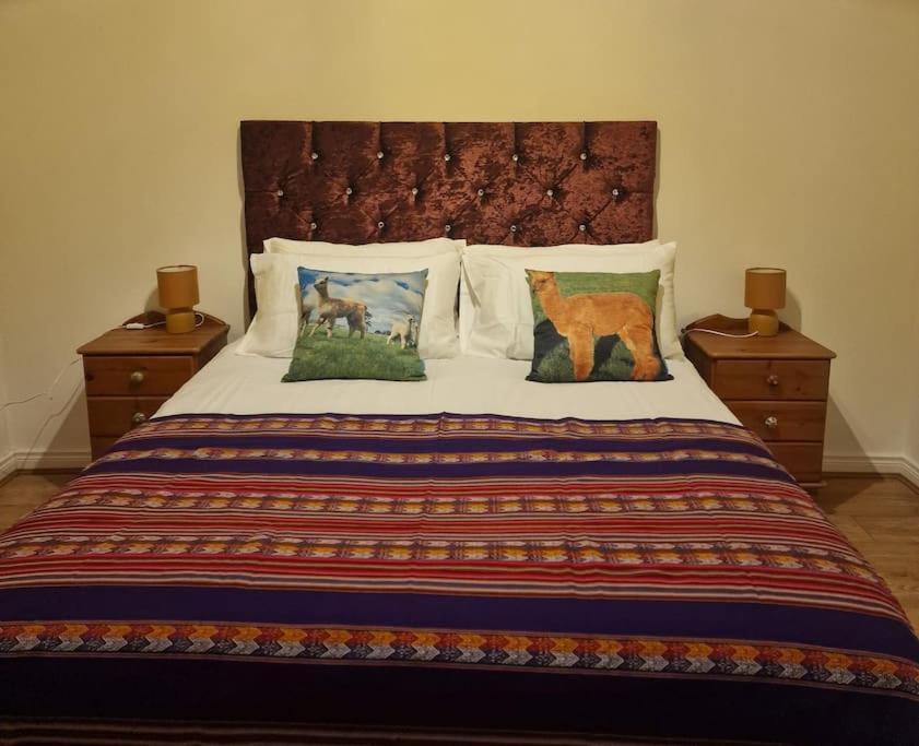 The Alpaca Farmhouse With Hot Tub And Alpaca Experience Included Dromara Bagian luar foto