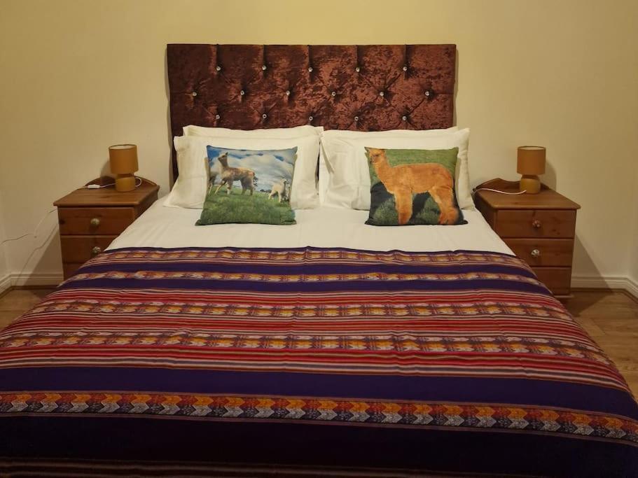 The Alpaca Farmhouse With Hot Tub And Alpaca Experience Included Dromara Bagian luar foto