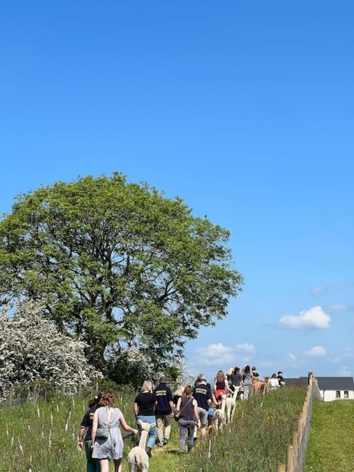 The Alpaca Farmhouse With Hot Tub And Alpaca Experience Included Dromara Bagian luar foto