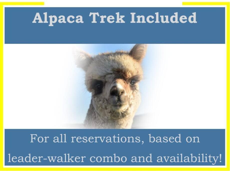 The Alpaca Farmhouse With Hot Tub And Alpaca Experience Included Dromara Bagian luar foto