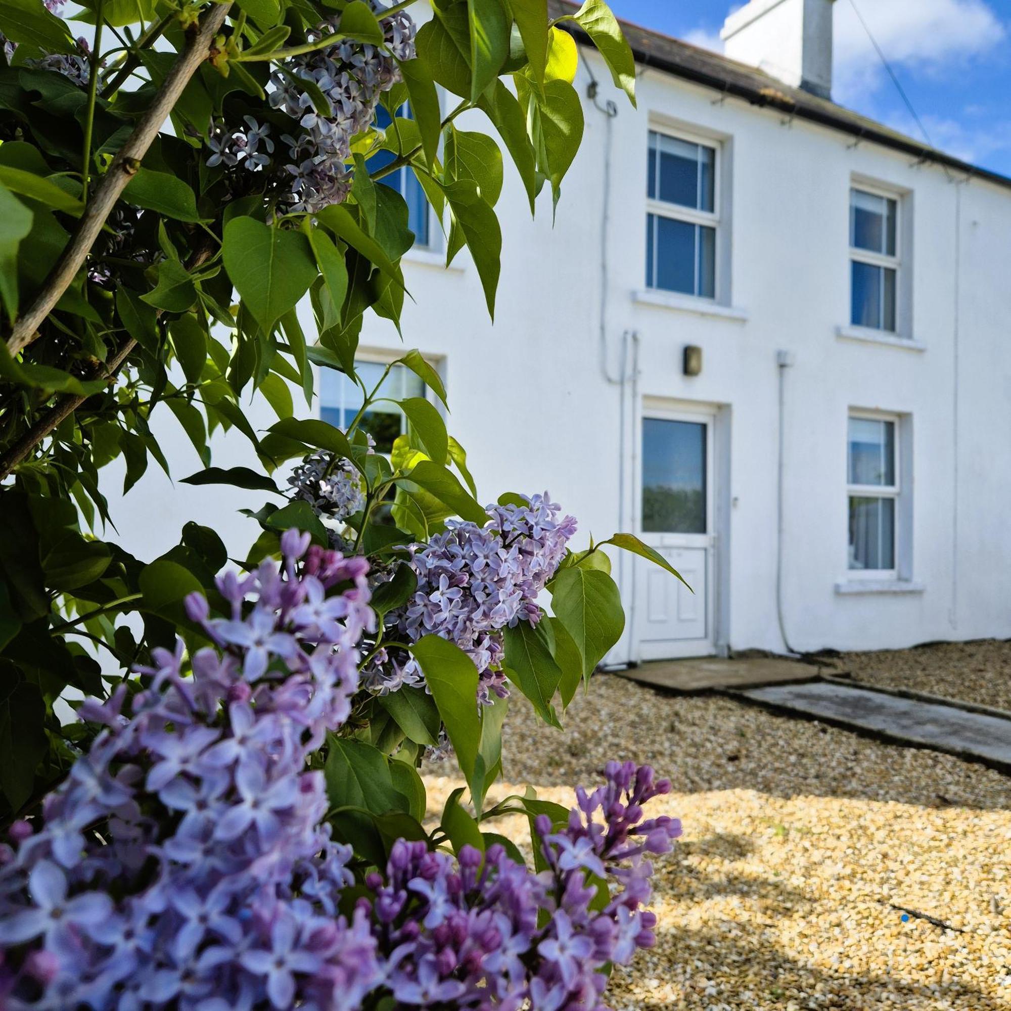 The Alpaca Farmhouse With Hot Tub And Alpaca Experience Included Dromara Bagian luar foto